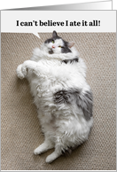 Happy Thanksgiving For Anyone Fat Cat on Floor Humor card