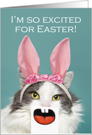 Happy Easter For Anyone Funny Cat With Open Mouth and Bunny Ears Humor card