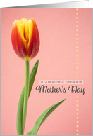 Happy Mothers Day Beautiful Friend Lovely Tulip on Pink card