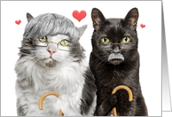 Happy Anniversary Funny Old Cat Couple With Gray Hair and Canes Humor card