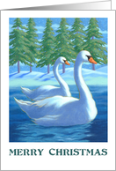 Holidays Christmas Beautiful Swans and Golden Lights on Trees card