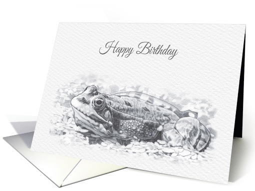 Birthday, Beautiful Marsh Frog drawing card (1528204)
