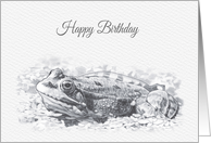 Birthday, Beautiful Marsh Frog drawing card