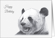 Birthday, Giant Panda Wild Animal Drawing card
