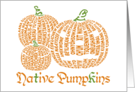 Native Pumpkins Multi Languages card