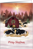 Dairy Farm Cows and Old Barn Merry Christmas card