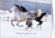 Dashing Through the Snow Horse Theme Christmas card