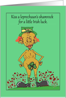 Holiday St. Patrick’s Day Kiss My Shamrock Cartoon card