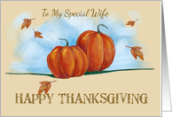 Special Wife Happy Thanksgiving Fall Pumpkins card