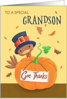Grandson Thanksgiving Turkey and Pumpkin card