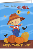 Nephew Happy Thanksgiving Fall Scarecrow card