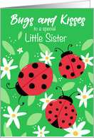 Little Sister Birthday Bugs and Kisses Ladybugs card