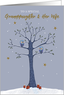 Granddaughter and Her Wife Christmas Owls on Tree card