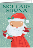 Nollaig Shona Irish Gaelic Cute Santa with Red Cardinal Birds card