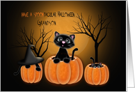 Spooktacular Halloween Grandson, Kittens in Pumpkins card