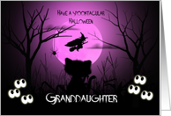 Halloween for Granddaughter Spooky, Shilouette Cat, Flying Witch, Moon card