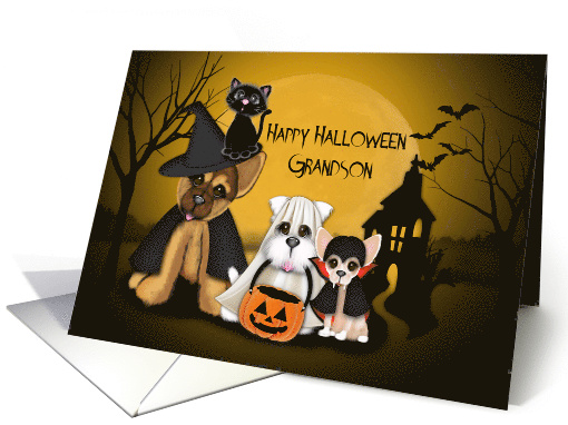 Halloween for Grandson, Puppies Dressed in Costumes and a Cat card