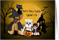 Halloween for Grandson, Puppies Dressed in Costumes and a Cat card