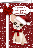 Christmas Stepdaughter,Santa Paws is Coming to Town, Chihuahua card