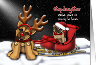 Santa Paws is Coming to Town, Stepdaughter, Shepherd Reindeer, Pug card