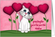 Valentine for a Granddaughter, Kitten Surrounded by Heart Flowers card