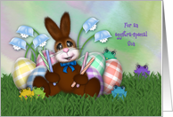 Easter for a Son Adorable Bunny, with Eggs, Flowers and Frogs card