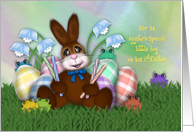 1st Easter for Little Boy, Adorable Bunny, Eggs, Flowers and Frogs card