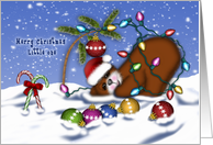 Christmas Little One Bear Tangled Lights card