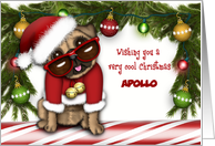Christmas for a Customize with any Name Pug in Santa Suit with Glasses card