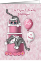 6th Birthday for a Granddaughter Kitten with Glasses on a Cake card
