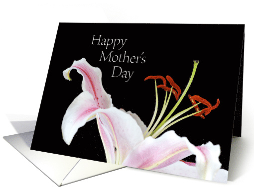 Blank Happy Mother's Day Stylish Pink and White Lily card (1562188)