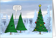 Christmas Tree Says...