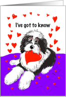 Valentine’s Card with a Fluffy Bernedoodle puppy Asks Be My Valentine card