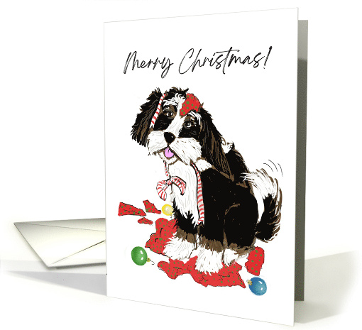 Christmas Black and White Bernedoodle With Torn Up Wrapping Paper card