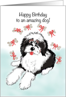 Happy Birthday to Fluffy Dog With Bones and Bows card