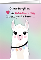 Granddaughter Llamas Valentines Day Hearts card