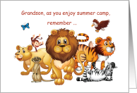 Grandson Thinking of You at Summer Camp Wild Animals card