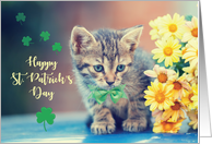 St. Patricks Day Kitten with Yellow Daisies card