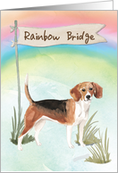 Beagle Pet Sympathy Over Rainbow Bridge card