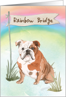 English Bulldog Pet Sympathy Over Rainbow Bridge card