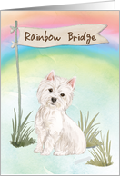 Westie Pet Sympathy Over Rainbow Bridge card