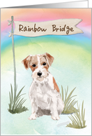 Wire Haired Jack Russell Pet Sympathy Over Rainbow Bridge card