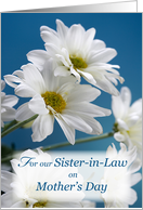 OUR Sister in Law on Mothers Day Daisies card