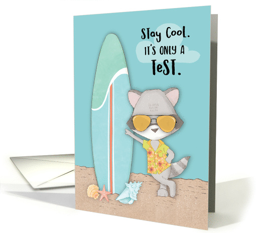 Good Luck on Test Funny Cool Raccoon in Sunglasses card (1687996)