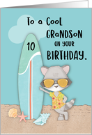 Age 10 Grandson Birthday Beach Funny Cool Raccoon in Sunglasses card
