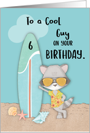 Age 6 Guy Birthday Beach Funny Cool Raccoon in Sunglasses card