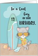 Age 13 Guy Birthday Beach Funny Cool Raccoon in Sunglasses card