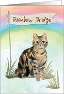 Tabby Cat Pet Sympathy Over Rainbow Bridge card