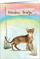 Abyssinian Cat Pet Sympathy Over Rainbow Bridge card
