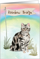 American Short Hair Cat Pet Sympathy Over Rainbow Bridge card